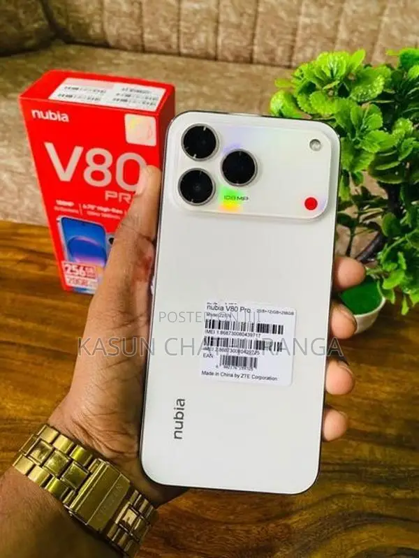 ZTE nubia V80 Pro 20GB 256GB (Used)
