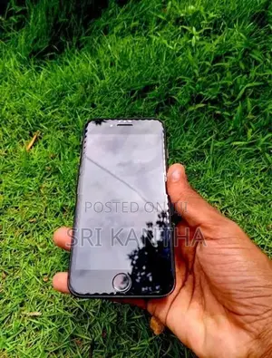 Apple iPhone 8 (Used)