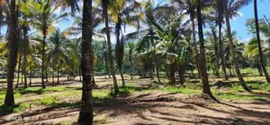 කුරුණෑගල අධිවේගී පිවිසුමට ළගින් ඉඩමක්