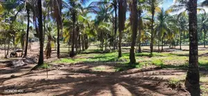 කුරුණෑගල අධිවේගී පිවිසුමට ළගින් ඉඩමක්