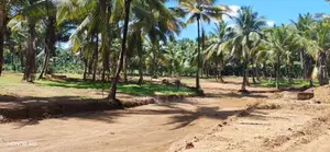 කුරුණෑගල අධිවේගී පිවිසුමට ළගින් ඉඩමක්