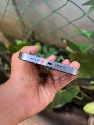 Apple iPhone 14 (Used)