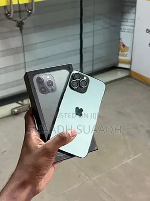 Apple iPhone 13 Pro Max (Used)