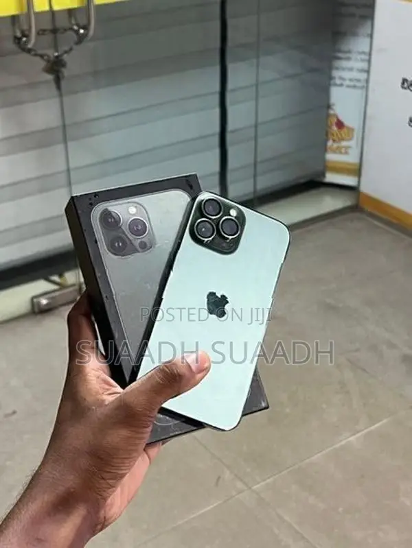 Apple iPhone 13 Pro Max (Used)