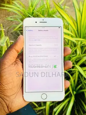 Apple iPhone 7 Plus Pink Edition (Used)