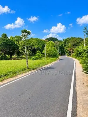 110 Perches Land For Sale In Dambulla (Sspl-534)