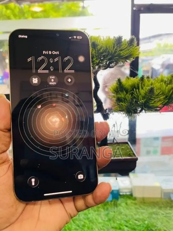 Apple iPhone 12 Pro Max (Used)
