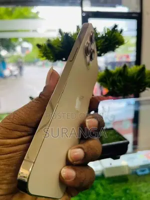 Apple iPhone 12 Pro Max (Used)