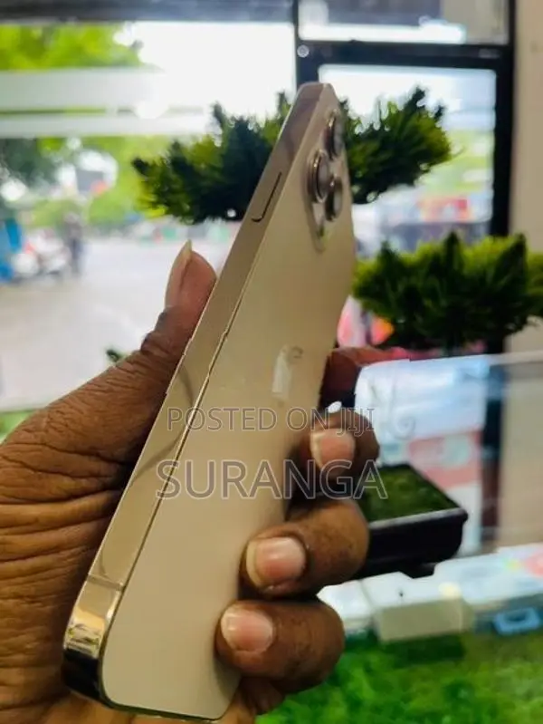 Apple iPhone 12 Pro Max (Used)