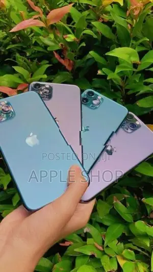 Apple iPhone 11 Pro 256GB (Used)