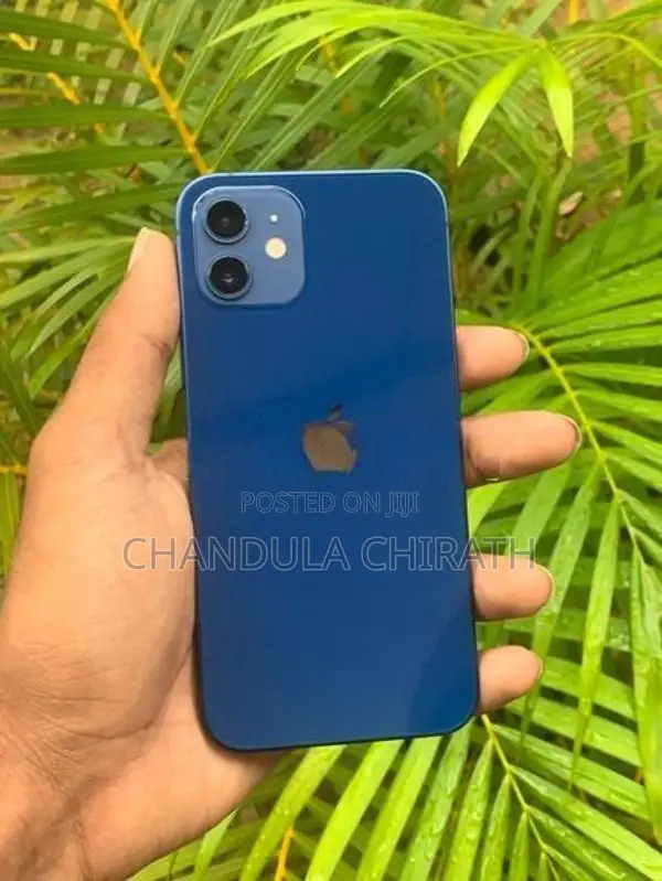 Apple iPhone 12 (Used)