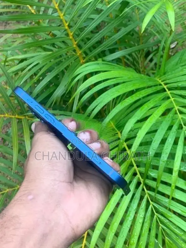 Apple iPhone 12 (Used)