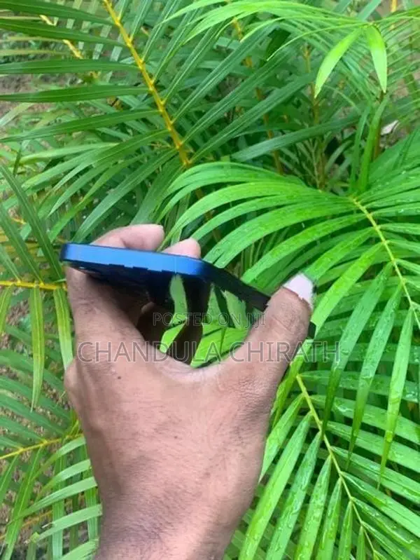 Apple iPhone 12 (Used)