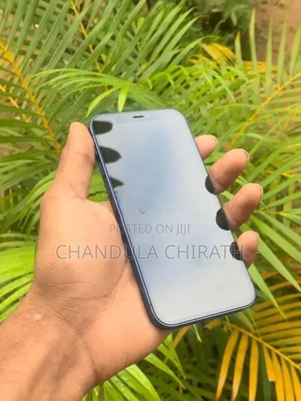 Apple iPhone 12 (Used)