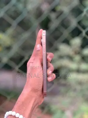 Apple iPhone 16 Pro Max (Used)