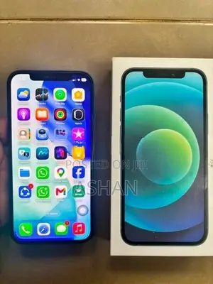 Apple iPhone 12 (Used)