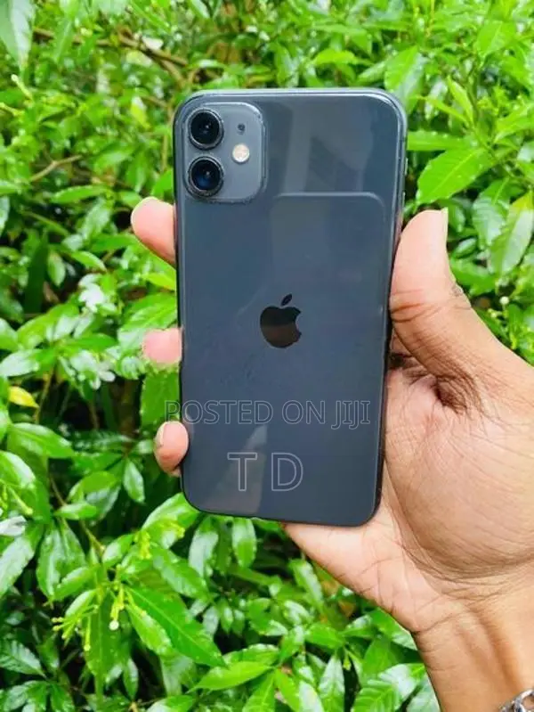 Apple iPhone 11 128GB (Used)