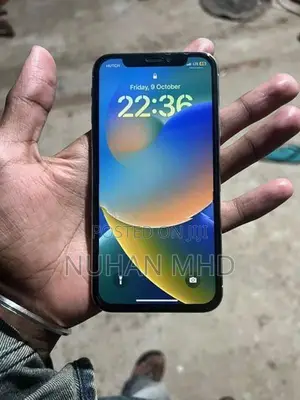 Apple iPhone X (Used)