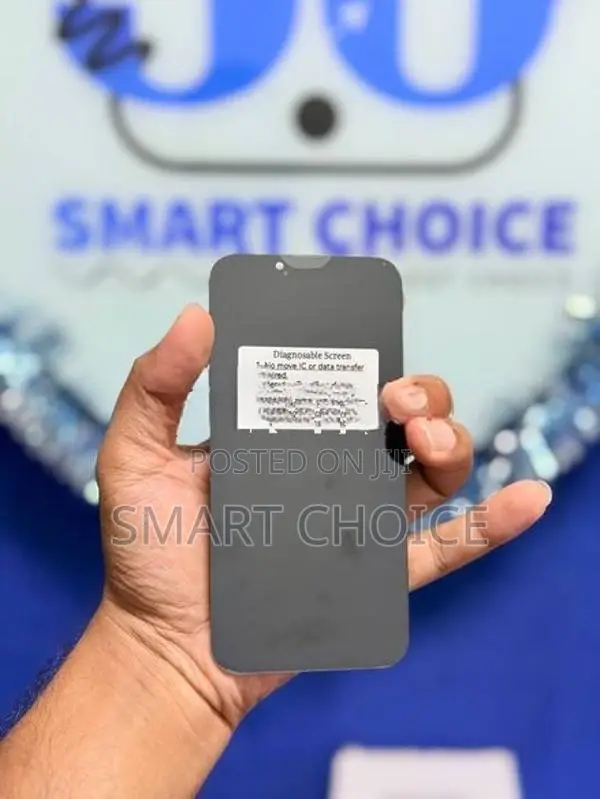 Apple iPhone 13 OLED Diagnostic Display (No Error Massages)