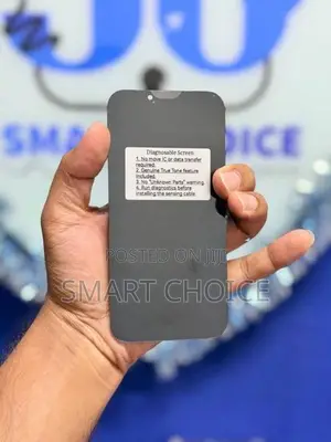 Apple iPhone 13 OLED Diagnostic Display (No Error Massages)