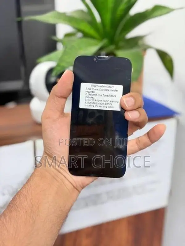 Apple iPhone 13 OLED Diagnostic Display (No Error Massages)
