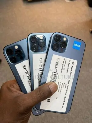 Apple iPhone 12 Pro 256GB (Used)