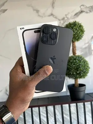 Apple iPhone 14 Pro Max 256GB (Used)