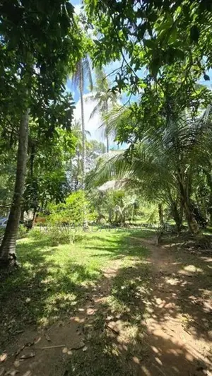 Land For Sale In Hiripitiya Ibbagamuwa