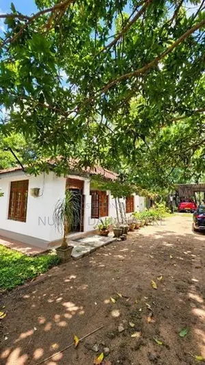 Land For Sale In Hiripitiya Ibbagamuwa