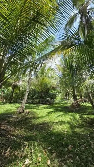 Land For Sale In Hiripitiya Ibbagamuwa