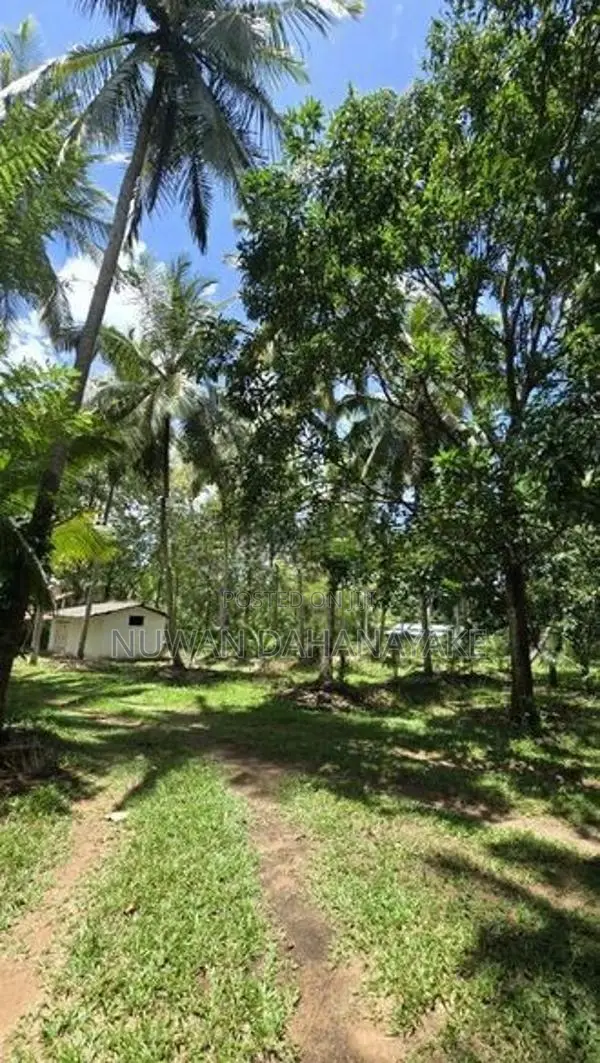 Land For Sale In Hiripitiya Ibbagamuwa