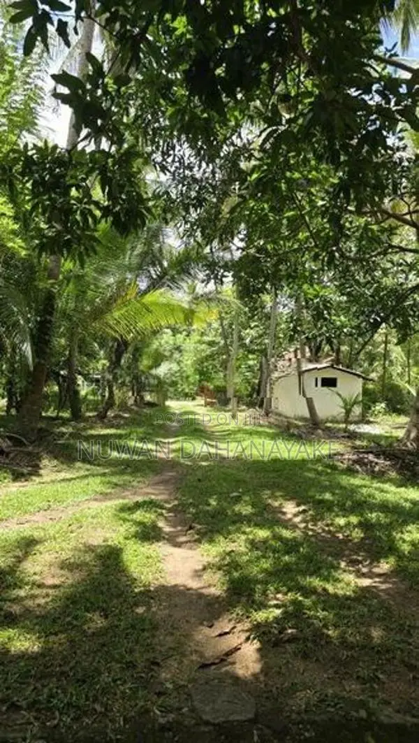 Land For Sale In Hiripitiya Ibbagamuwa
