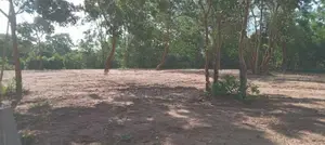 තංගල්ල රැකවෙන් ඉඩමක්