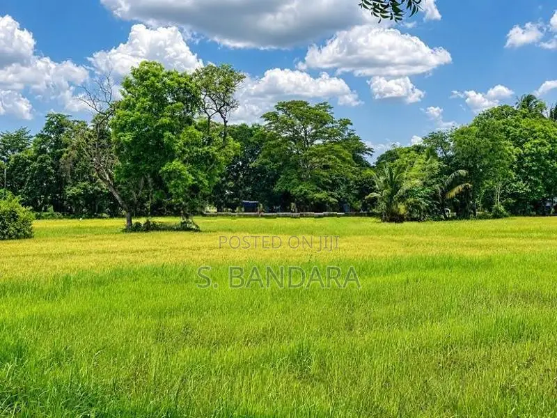 Paddy Facing Land for Sale in Kurunegala Padeniya Y 58