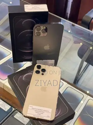 Apple iPhone 12 Pro 256GB (Used)