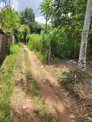 කඩවත සූරියපාළුව පාරේ වටිනා ඉඩම් කොටසක්