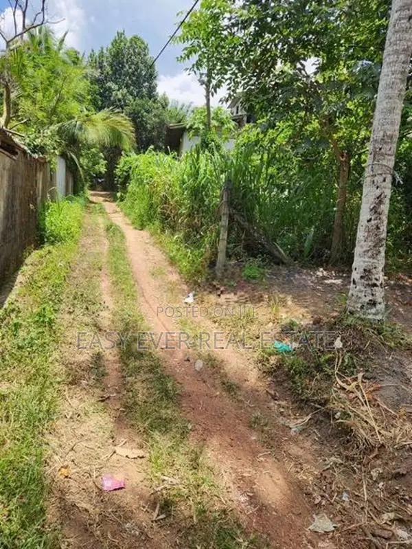 කඩවත සූරියපාළුව පාරේ වටිනා ඉඩම් කොටසක්