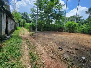 කඩවත සූරියපාළුව පාරේ වටිනා ඉඩම් කොටසක්