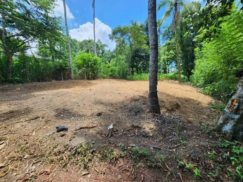 කඩවත සූරියපාළුව පාරේ වටිනා ඉඩම් කොටසක්