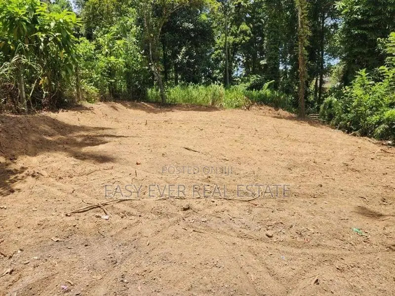 කඩවත සූරියපාළුව පාරේ වටිනා ඉඩම් කොටසක්