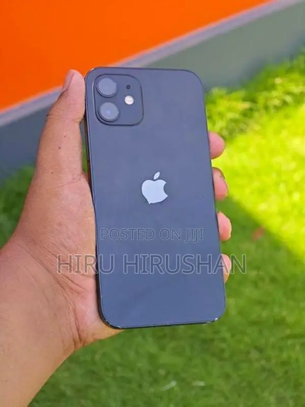 Apple iPhone 12 (Used)