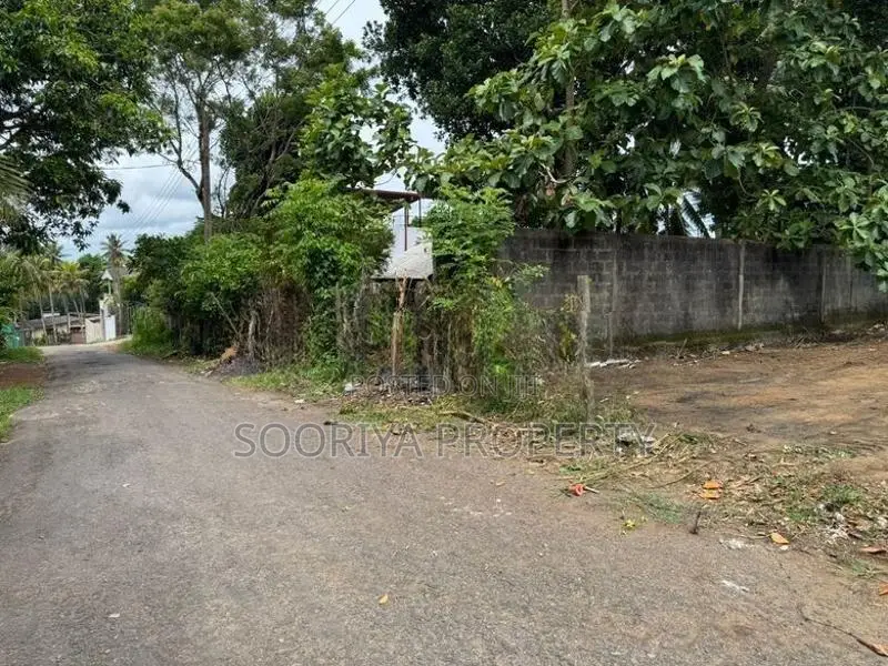 14 Perches Superb Land for Sale in Piliyandala Madapatha Road