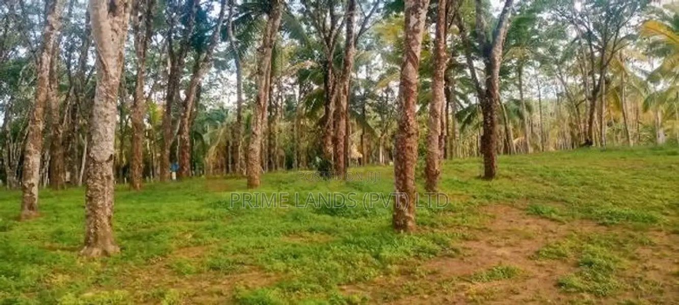 අහංගමින් නේවාසිකයට සහ විලා/කබනා සඳහාම හරියන සුපිරි බිම් කොටස්