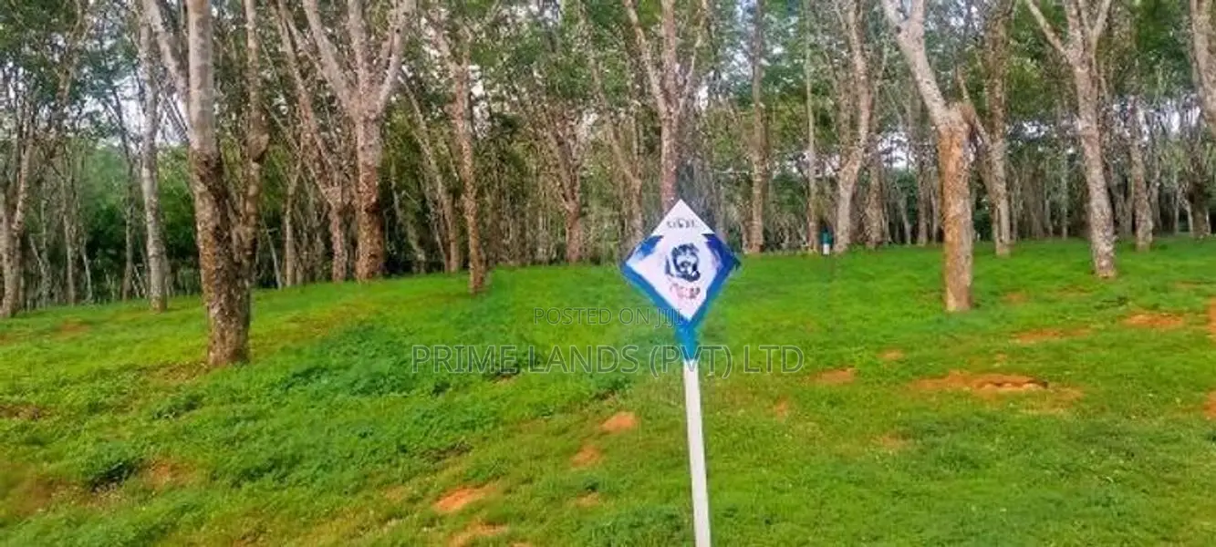 අහංගමින් නේවාසිකයට සහ විලා/කබනා සඳහාම හරියන සුපිරි බිම් කොටස්