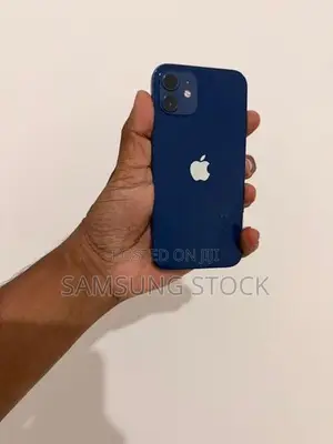 Apple iPhone 12 256GB (Used)
