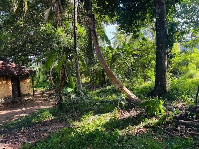 Commercial Land for Sale in Piliyandala Kesbewa Town
