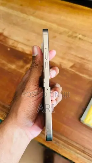 Apple iPhone 16 Pro Max (Used)
