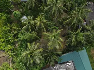 කොට්ටාව පිලියන්දල පාරෙ Blue Lotus Hotel එක අසලින් පර්චස් 10ක ඉඩමක්