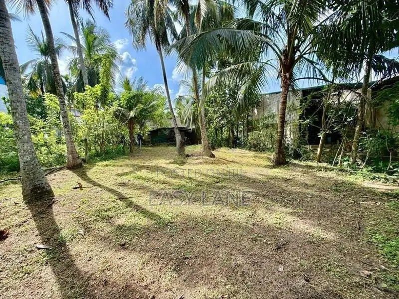 කොට්ටාව පිලියන්දල පාරෙ Blue Lotus Hotel එක අසලින් පර්චස් 10ක ඉඩමක්
