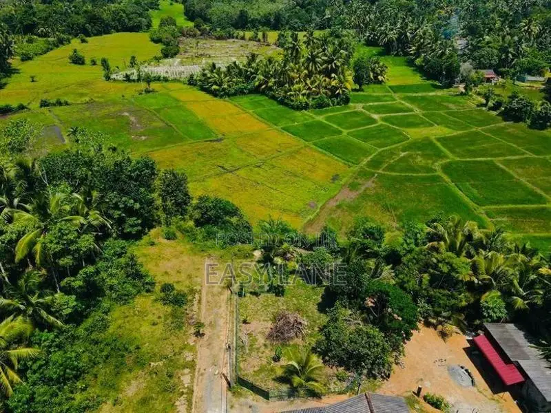 හොරණ, රයිගම පර්චසයක් 2. ට අගනා බිම් කොටසක් විකිණීමට